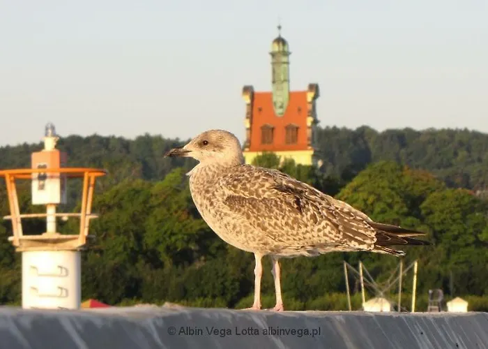Apartment Sopot: Apartament Closest To The Sea